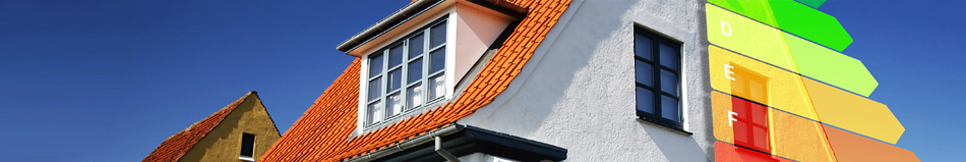 Banner - Stefan Fiolka